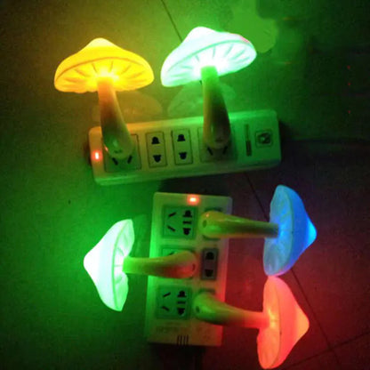 IyGpY5xVC4H6UQT.webp